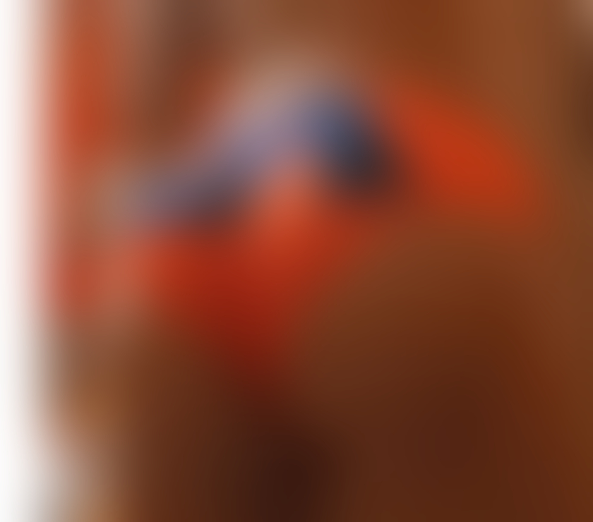 Gay massage North London Harringay - North London - Photos for FEMININE BOY QUEEN